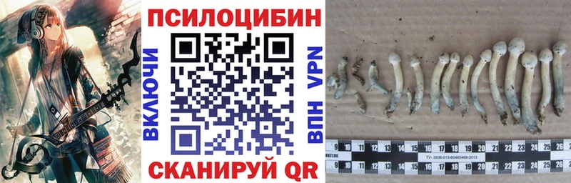 Галлюциногенные грибы ЛСД Заводоуковск
