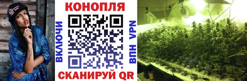 где купить наркоту  Заводоуковск  МАРИХУАНА конопля 